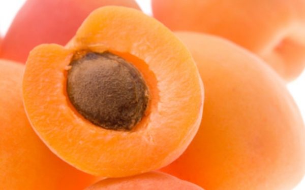 &Pi;&omicron;&iota;&alpha; &theta;&rho;&epsilon;&pi;&tau;&iota;&kappa;ά &sigma;&upsilon;&sigma;&tau;&alpha;&tau;&iota;&kappa;ά &mu;&alpha;&sigmaf; &pi;&rho;&omicron;&sigma;&phi;έ&rho;&omicron;&upsilon;&nu; &tau;&alpha; &beta;&epsilon;&rho;ί&kappa;&omicron;&kappa;&alpha;